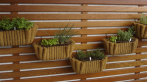 Jardim-Vertical-na-Varanda-de-Apartamento-Pequeno-Fotos